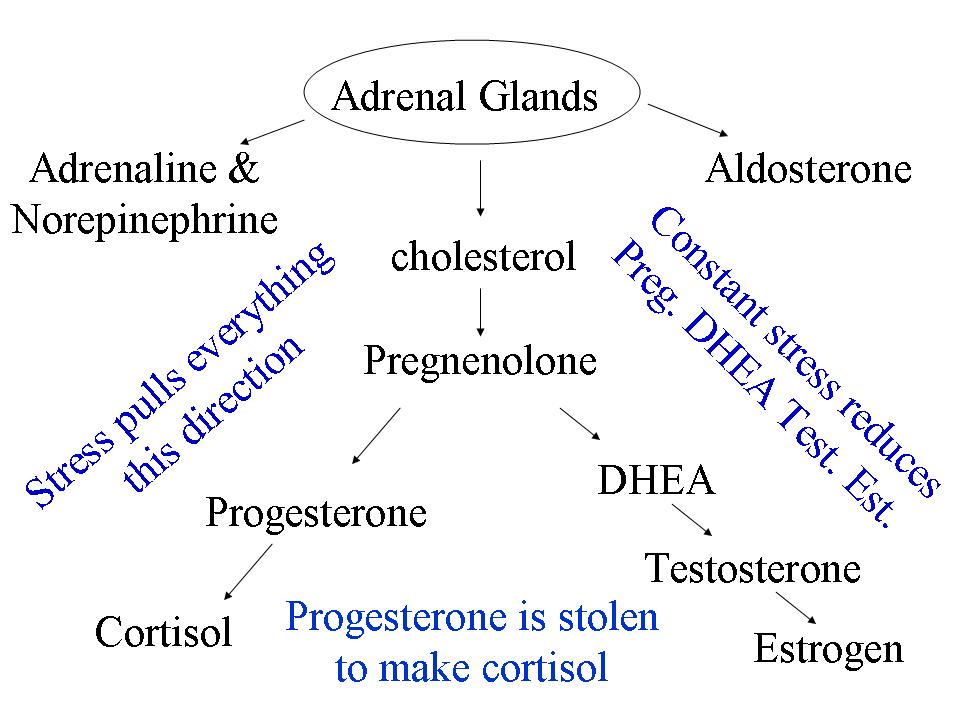 low testosterone due to stress