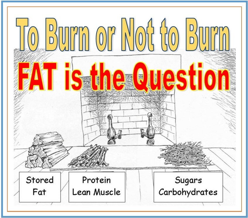 dr len lopez, to burn or not to burn fat is the questions