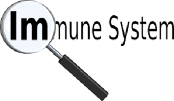 Boost Your immune system naturally