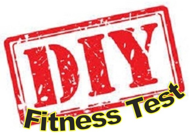 diy fitness test for fat burning