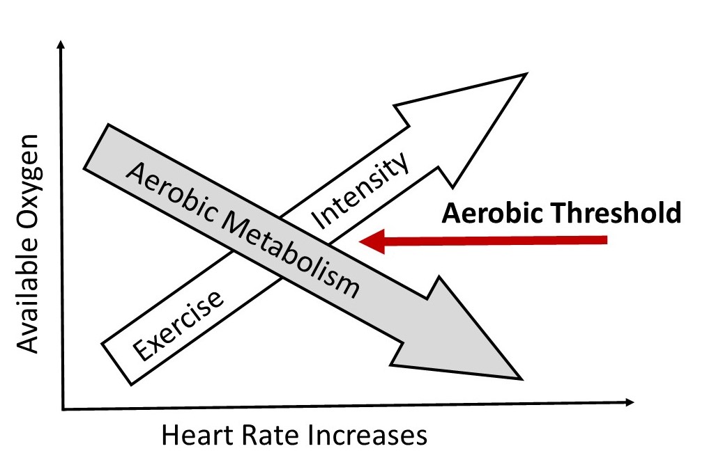 Find my aerobic threshold