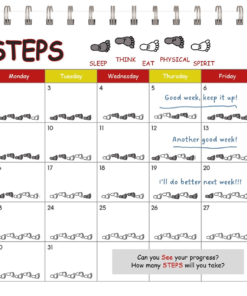 My 5 STEPS a Day calendar